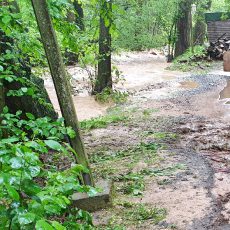 Wegen des Hochwassers findet das Training erst wieder ab dem 01.06.2019 statt