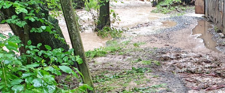 Wegen des Hochwassers findet das Training erst wieder ab dem 01.06.2019 statt Wegen des Hochwassers findet das Training erst wieder ab dem 01.06.2019 statt