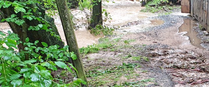 Wegen des Hochwassers findet das Training erst wieder ab dem 01.06.2019 statt