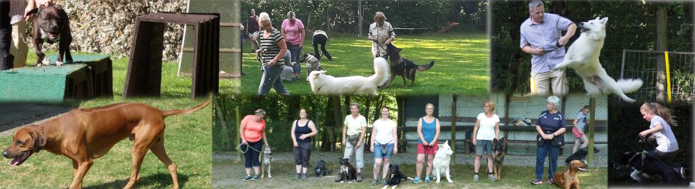 Hundesportverein-Lohfelden e.V.